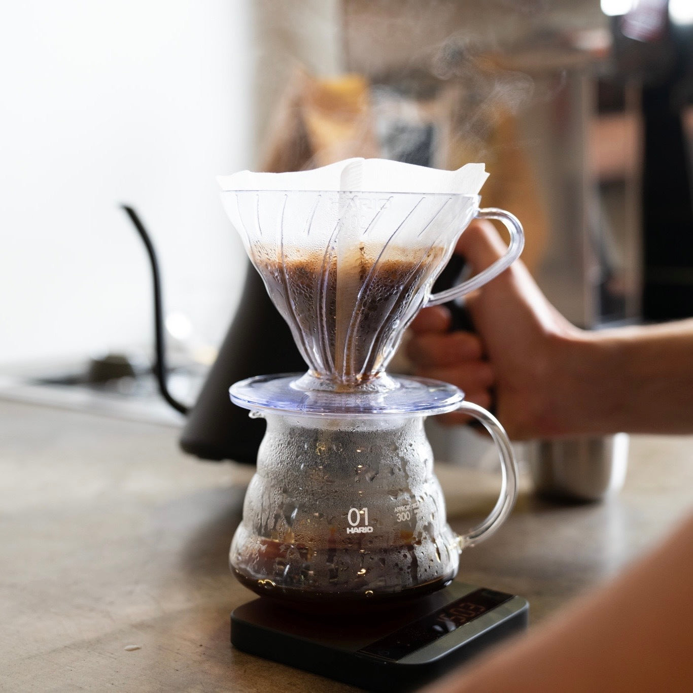 V60 FILTER BREWING ドリップコーヒー Single O Japan